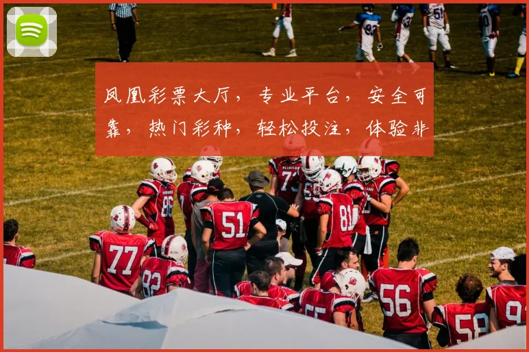 凤凰彩票大厅，专业平台，安全可靠，热门彩种，轻松投注，体验非凡，尽在凤凰