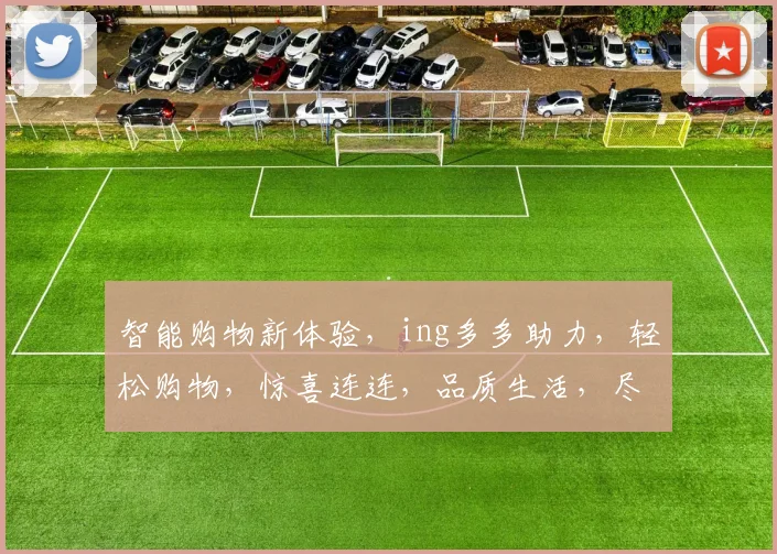 智能购物新体验，ing多多助力，轻松购物，惊喜连连，品质生活，尽在掌握