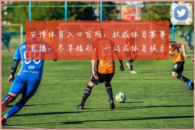 安博体育入口官网，权威体育赛事直播，尽享精彩，一站式体育娱乐平台，轻松登录体验
