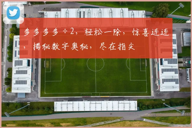 多多多多÷2，轻松一除，惊喜连连，揭秘数字奥秘，尽在指尖