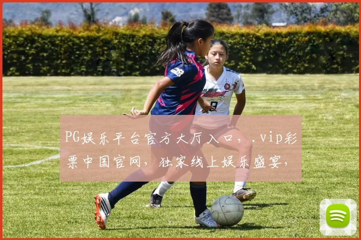 PG娱乐平台官方大厅入口，.vip彩票中国官网，独家线上娱乐盛宴，一触即达